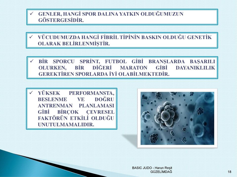 BİR SPORCU SPRİNT, FUTBOL GİBİ BRANŞLARDA BAŞARILI OLURKEN, BİR DİĞERİ MARATON GİBİ DAYANIKLILIK GEREKTİREN