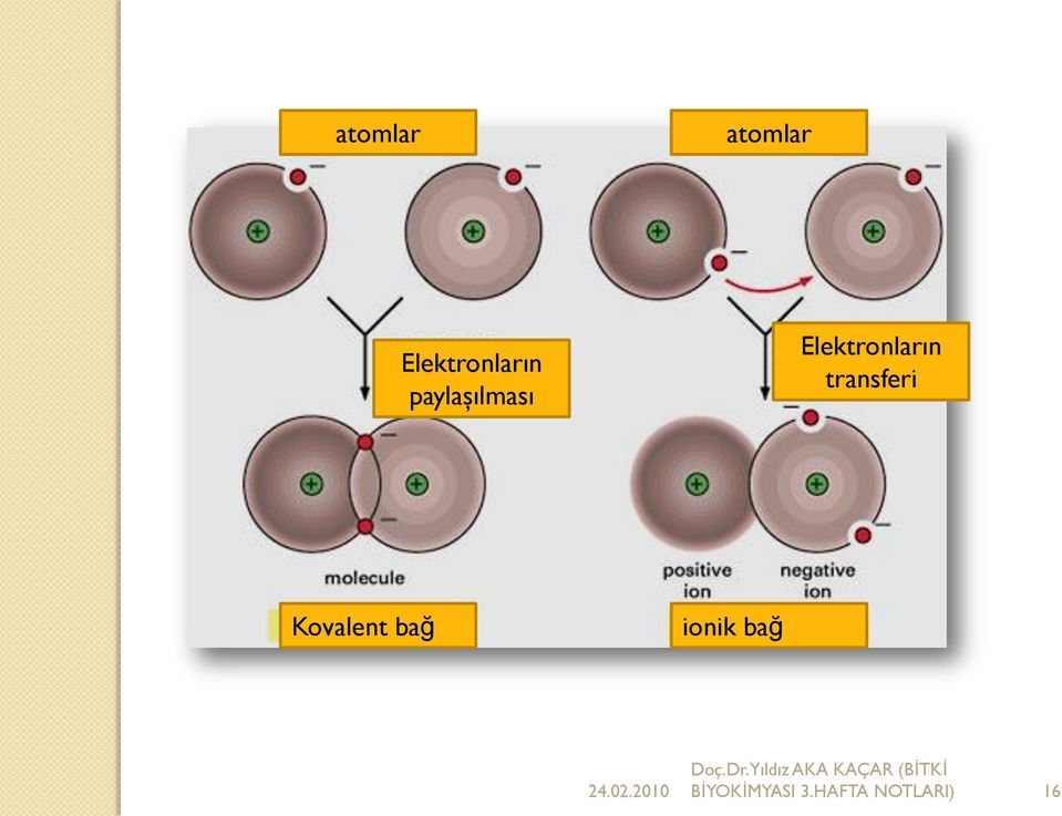 transferi Kovalent bağ ionik