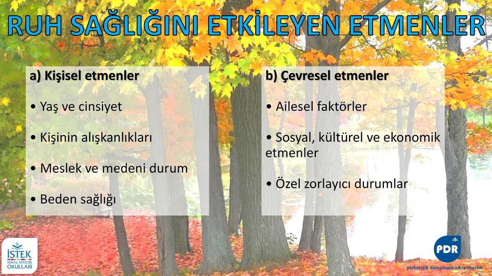 sağlığı b) Çevresel etmenler Ailesel faktörler