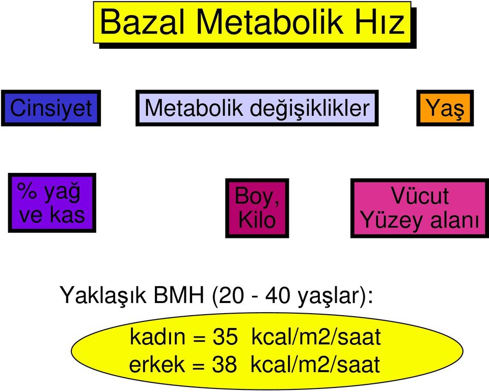 Vücut Yüzey alanı Yaklaşık BMH (20-40