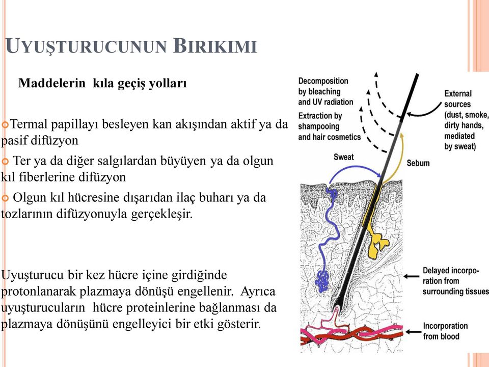 buharı ya da tozlarının difüzyonuyla gerçekleşir.