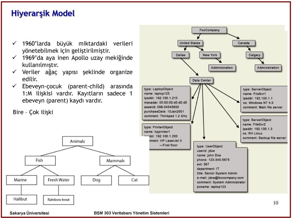 Veriler ağaç yapısı şeklinde organize edilir.