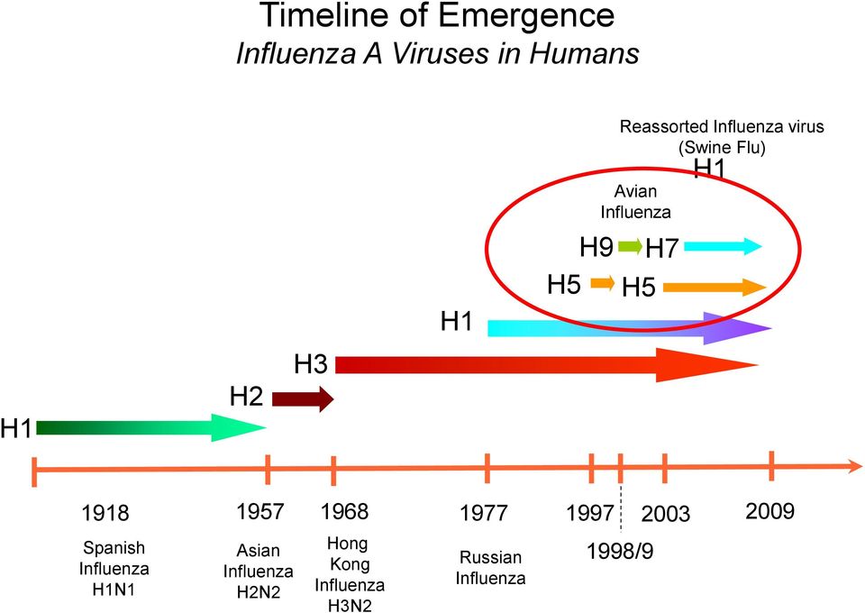 H5 H1 1918 1957 1968 1977 1997 Spanish Influenza H1N1 Asian