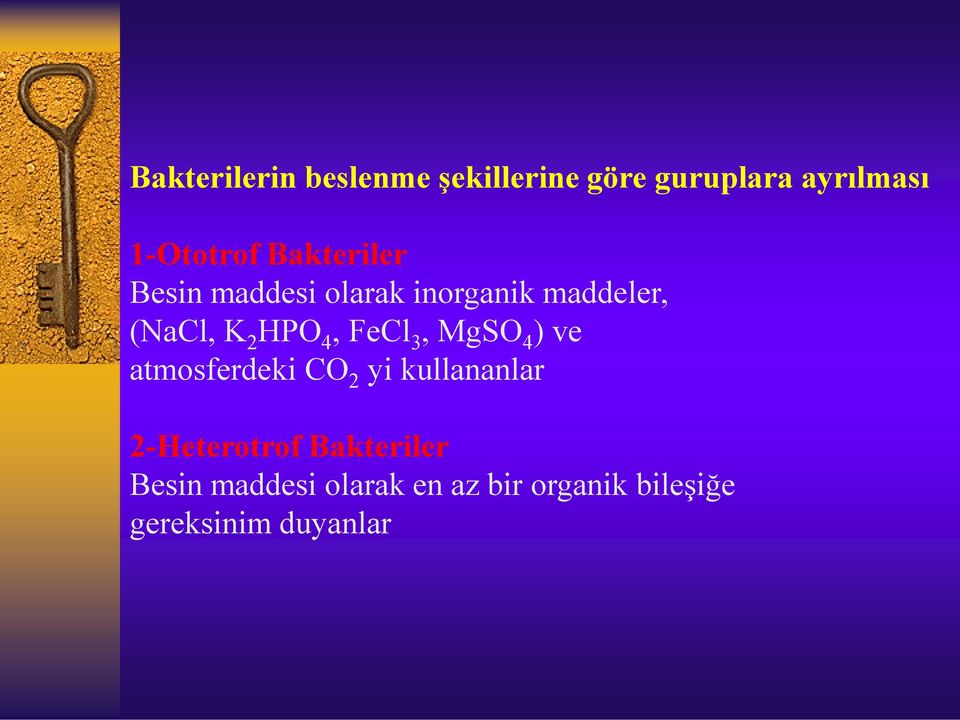 FeCl 3, MgSO 4 ) ve atmosferdeki CO 2 yi kullananlar 2-Heterotrof