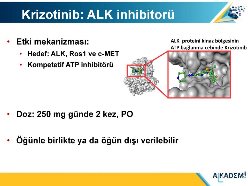 bölgesinin ATP bağlanma cebinde Krizotinib Doz: 250 mg günde 2