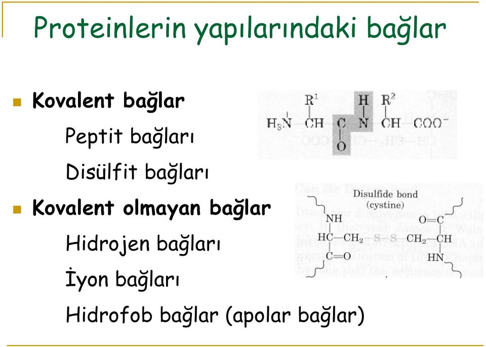 bağları Kovalent olmayan bağlar Hidrojen