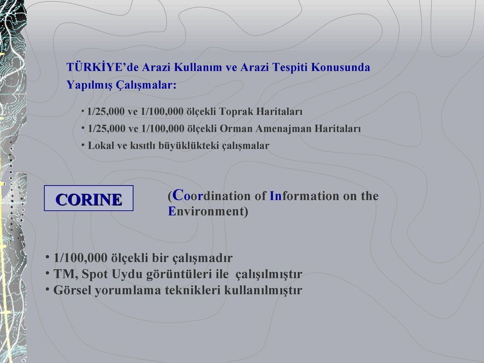 kısıtlı büyüklükteki çalışmalar CORINE (Coordination of Information on the Environment) 1/100,000