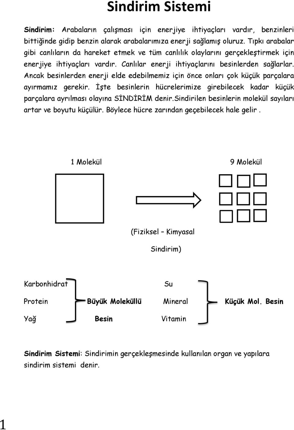 Ancak besinlerden enerji elde edebilmemiz için önce onları çok küçük parçalara ayırmamız gerekir. İşte besinlerin hücrelerimize girebilecek kadar küçük parçalara ayrılması olayına SİNDİRİM denir.