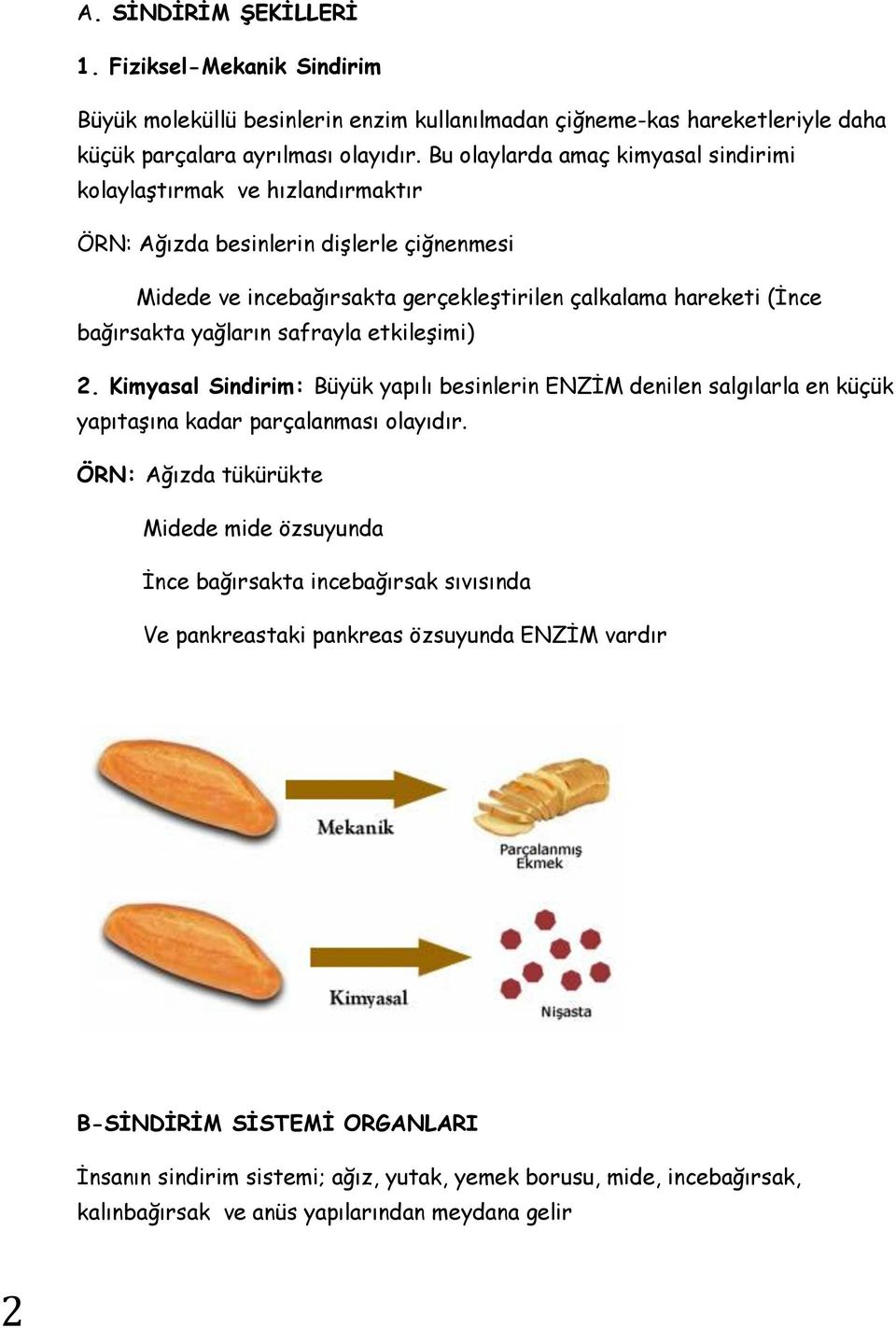 yağların safrayla etkileşimi) 2. Kimyasal Sindirim: Büyük yapılı besinlerin ENZİM denilen salgılarla en küçük yapıtaşına kadar parçalanması olayıdır.