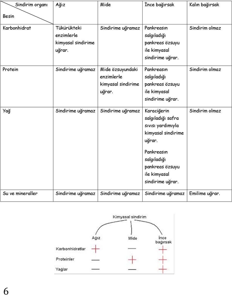 Protein Sindirime uğramaz Mide özsuyundaki enzimlerle Pankreasın salgıladığı Sindirim olmaz kimyasal  Yağ Sindirime uğramaz Sindirime uğramaz Karaciğerin salgıladığı