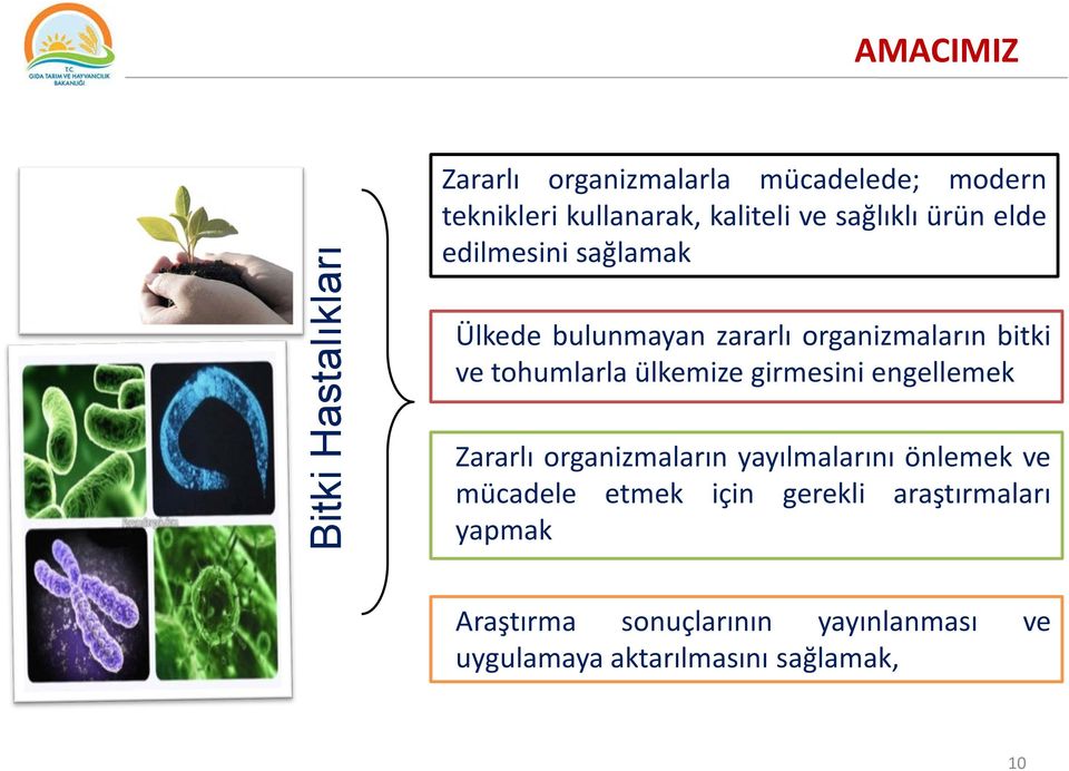 tohumlarla ülkemize girmesini engellemek Zararlı organizmaların yayılmalarını önlemek ve mücadele