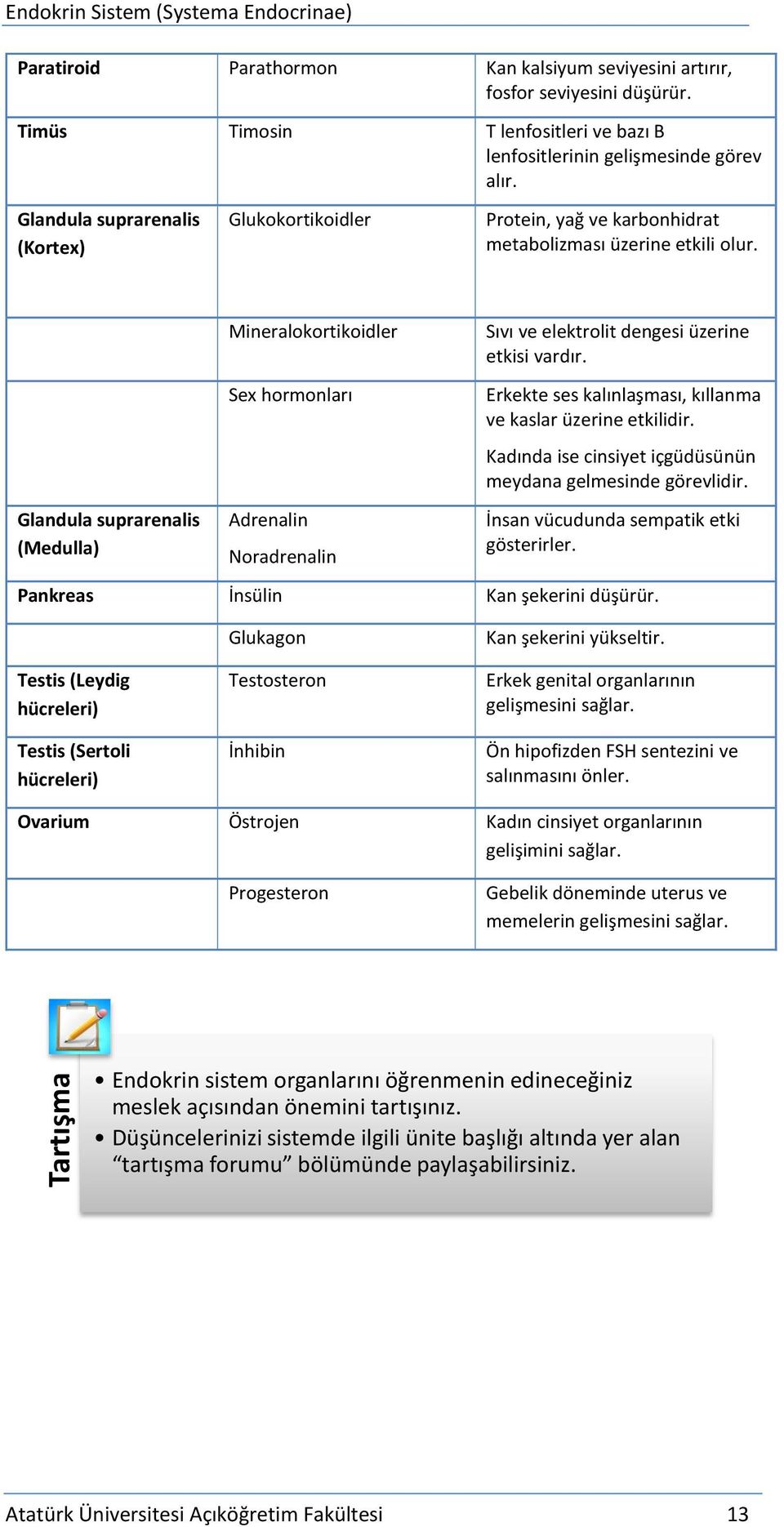 Glandula suprarenalis (Medulla) Mineralokortikoidler Sex hormonları Adrenalin Noradrenalin Sıvı ve elektrolit dengesi üzerine etkisi vardır.