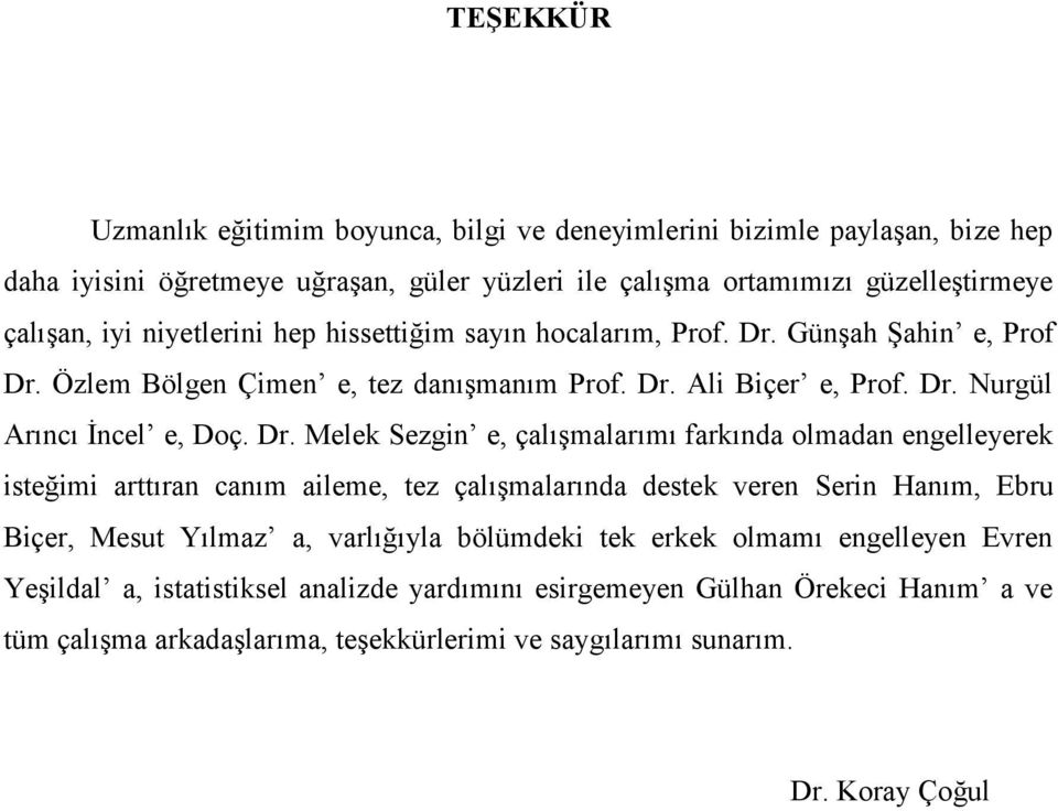 Günşah Şahin e, Prof Dr.