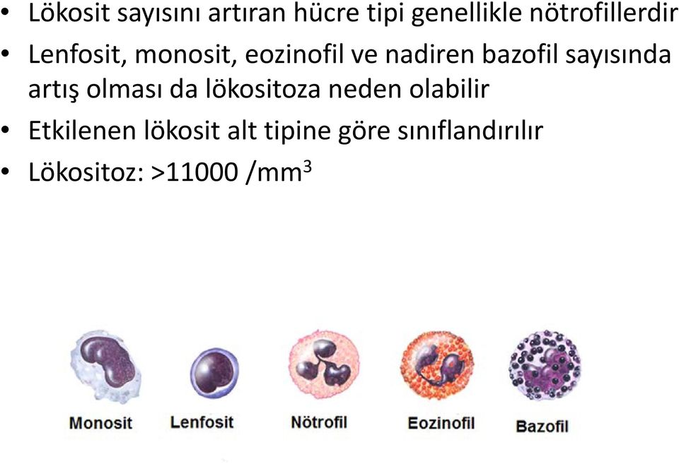 bazofil sayısında artış olması da lökositoza neden