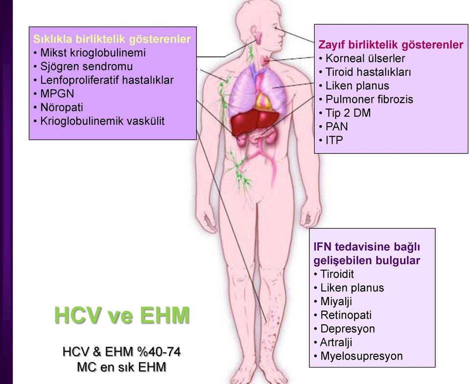 hastalıkları Liken planus Pulmoner fibrozis Tip 2 DM PAN ITP HCV ve EHM HCV & EHM %40-74 MC en sık EHM