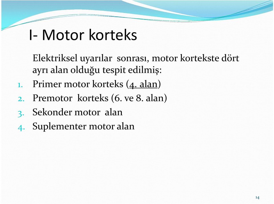 Primer motor korteks (4. alan) 2. Premotor korteks (6.