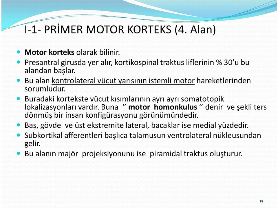 Buradaki kortekste vücut kısımlarının ayrı ayrı somatotopik lokalizasyonları vardır.