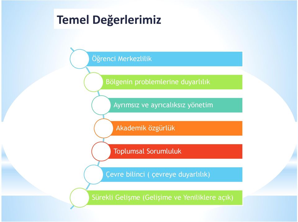 yönetim Akademik özgürlük Toplumsal Sorumluluk Çevre