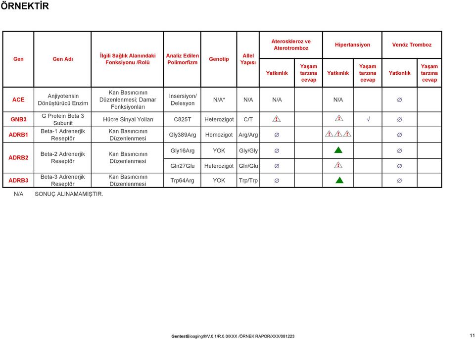 Insersiyon/ Delesyon N/A* N/A N/A N/A Hücre Sinyal Yolları C825T Heterozigot C/T!! Kan Basıncının Düzenlenmesi Gly389Arg Homozigot Arg/Arg!
