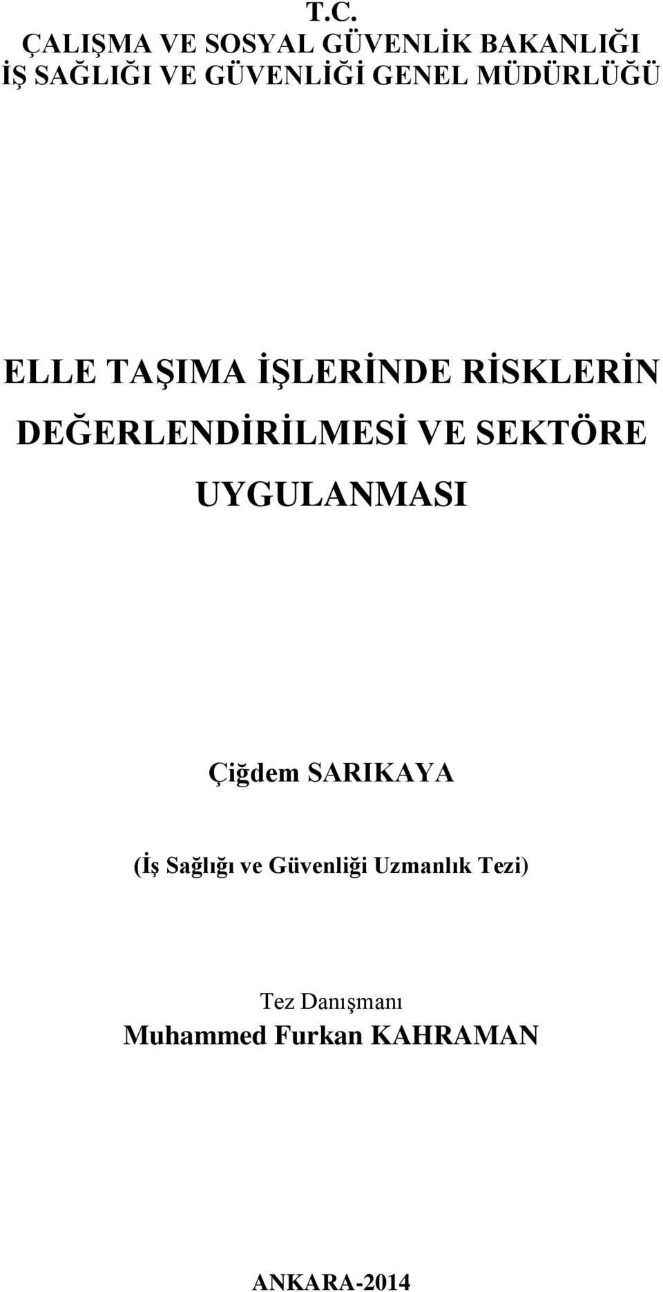 VE SEKTÖRE UYGULANMASI Çiğdem SARIKAYA (İş Sağlığı ve Güvenliği