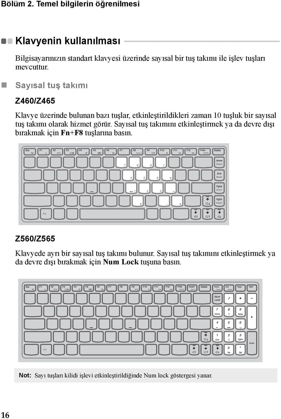 - - Bilgisayarınızın standart klavyesi üzerinde sayısal bir tuş takımı ile işlev tuşları mevcuttur.