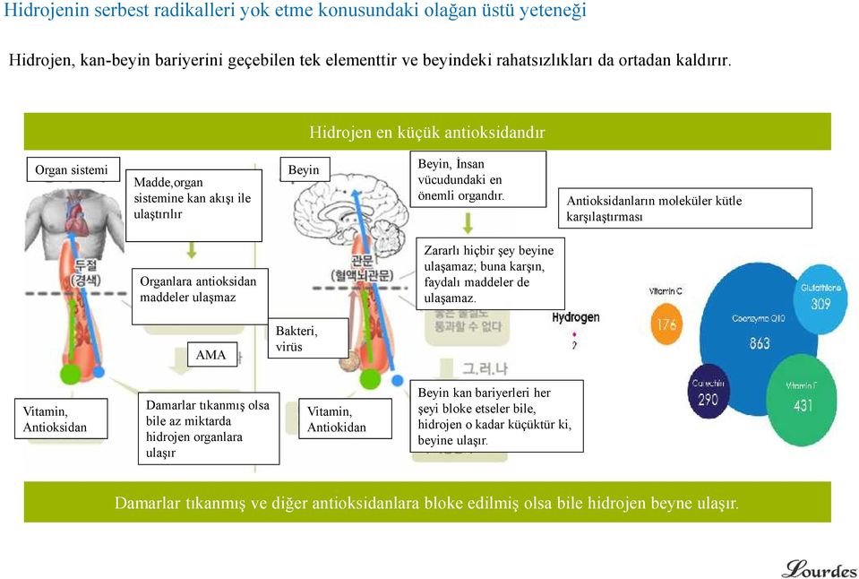 Antioksidanların moleküler kütle karşılaştırması Organlara antioksidan maddeler ulaşmaz Zararlı hiçbir şey beyine ulaşamaz; buna karşın, faydalı maddeler de ulaşamaz.