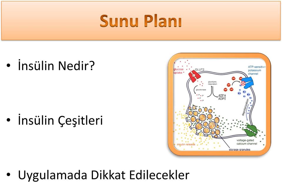 Çeşitleri