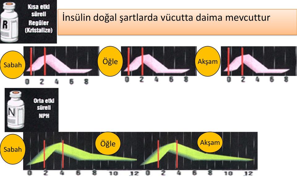 Diyabet söz konusu olduğunda pankreas taklit