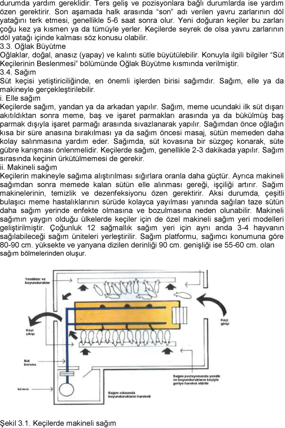 Keçilerde seyrek de olsa yavru zarlarının döl yatağı içinde kalması söz konusu olabilir. 3.3. Oğlak Büyütme Oğlaklar, doğal, anasız (yapay) ve kalıntı sütle büyütülebilir.