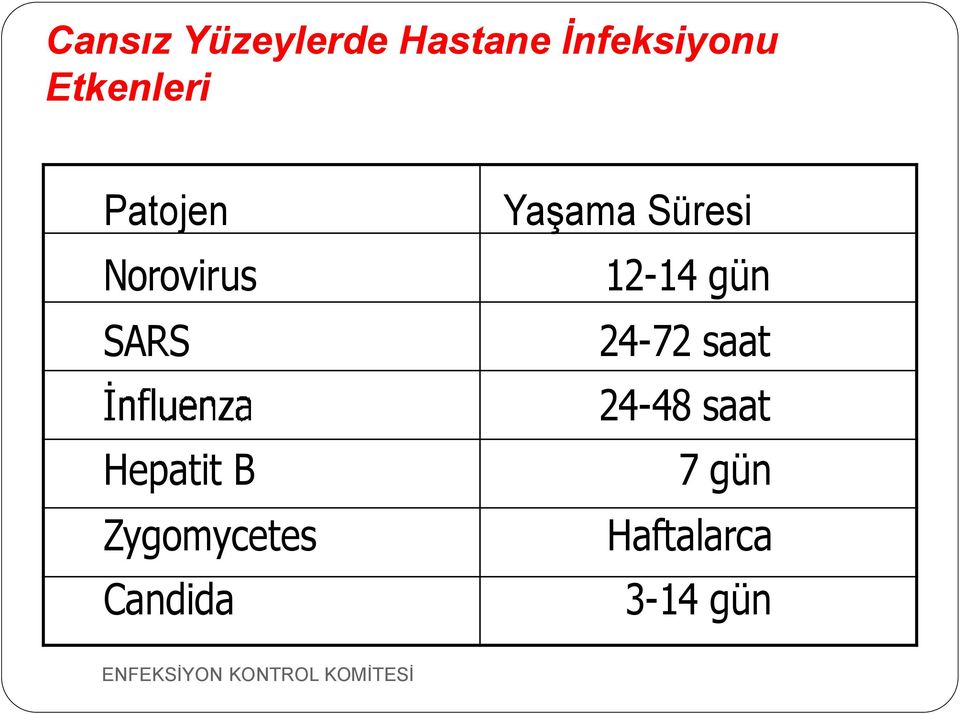 Zygomycetes Candida Yaşama Süresi 12-14