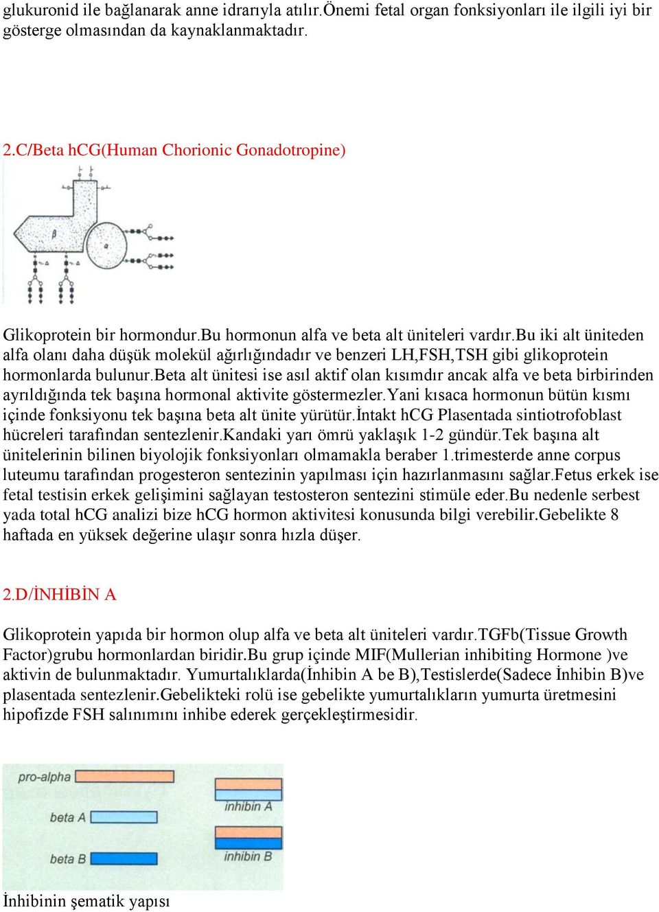 bu iki alt üniteden alfa olanı daha düşük molekül ağırlığındadır ve benzeri LH,FSH,TSH gibi glikoprotein hormonlarda bulunur.