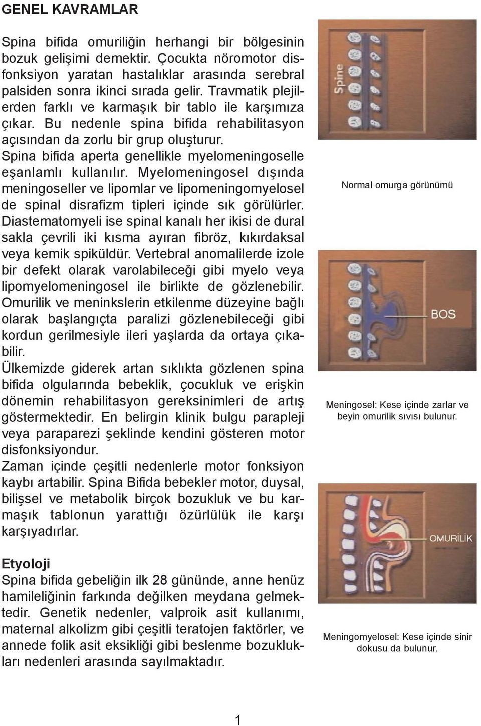 Spina bifida aperta genellikle myelomeningoselle eþanlamlý kullanýlýr. Myelomeningosel dýþýnda meningoseller ve lipomlar ve lipomeningomyelosel de spinal disrafizm tipleri içinde sýk görülürler.