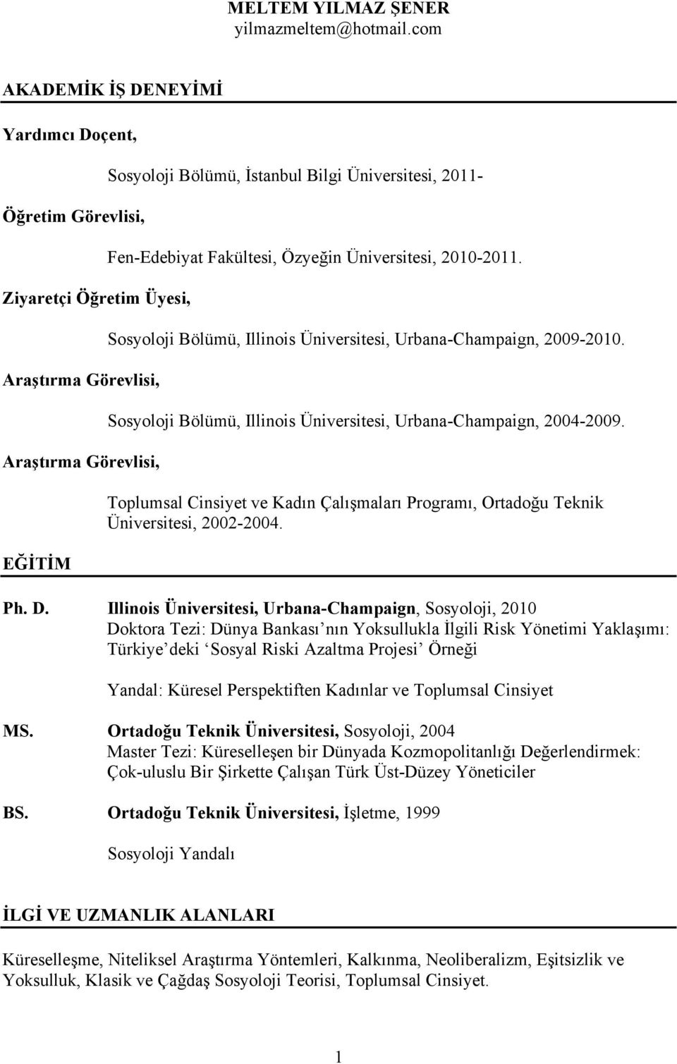 Fen-Edebiyat Fakültesi, Özyeğin Üniversitesi, 2010-2011. Sosyoloji Bölümü, Illinois Üniversitesi, Urbana-Champaign, 2009-2010. Sosyoloji Bölümü, Illinois Üniversitesi, Urbana-Champaign, 2004-2009.