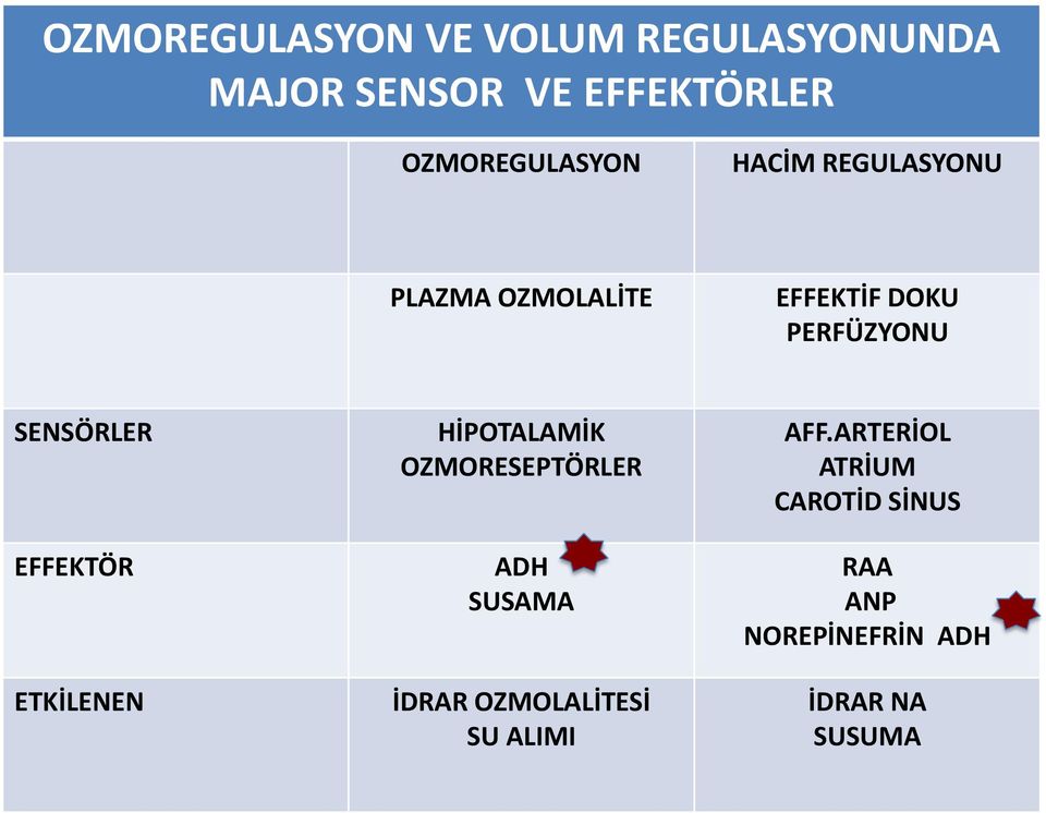 SENSÖRLER EFFEKTÖR ETKİLENEN HİPOTALAMİK OZMORESEPTÖRLER ADH SUSAMA İDRAR