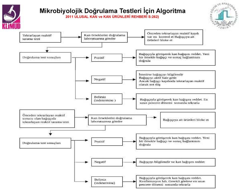 Algoritma 2011 ULUSAL