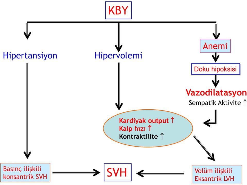 Kardiyak output Kalp hızı Kontraktilite Basınç