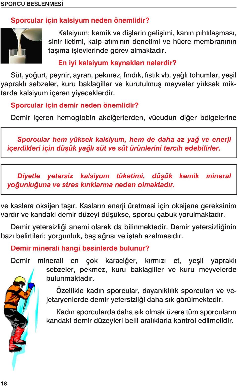 yağlı tohumlar, yeşil yapraklı sebzeler, kuru baklagiller ve kurutulmuş meyveler yüksek miktarda kalsiyum içeren yiyeceklerdir. Sporcular için demir neden önemlidir?