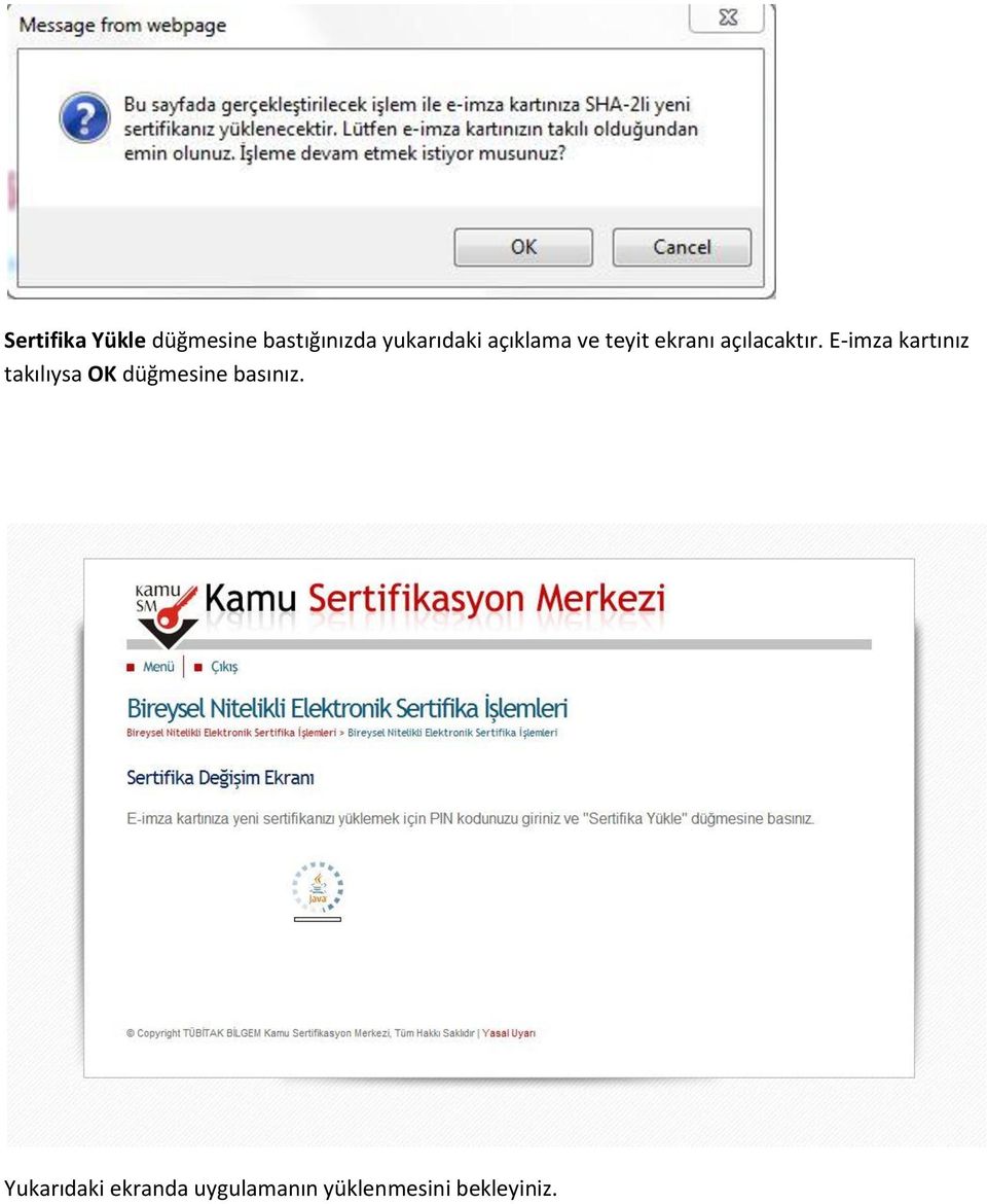 E-imza kartınız takılıysa OK düğmesine basınız.