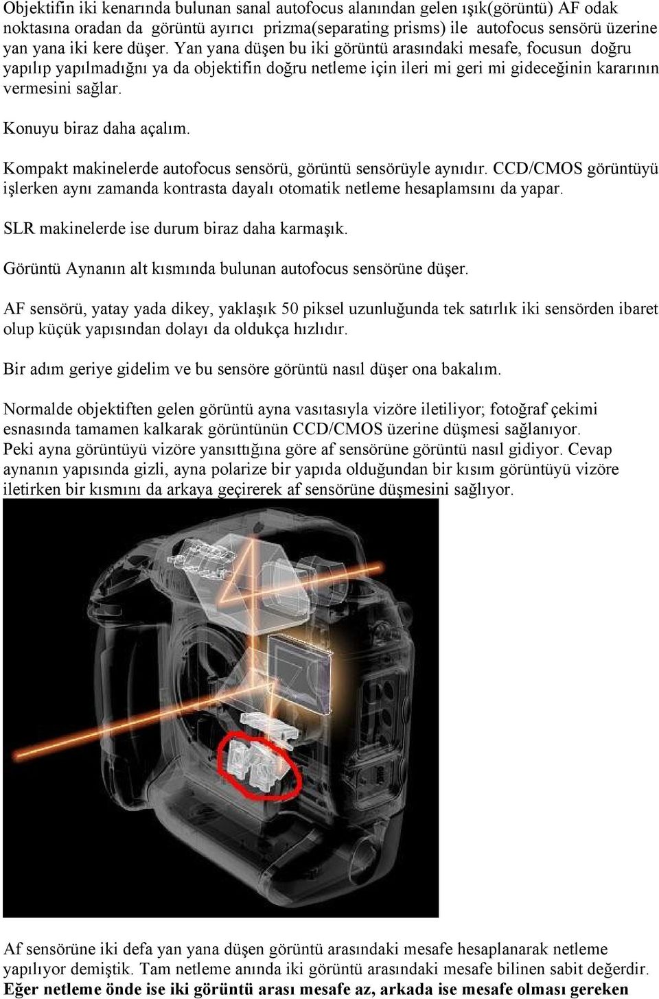 Konuyu biraz daha açalım. Kompakt makinelerde autofocus sensörü, görüntü sensörüyle aynıdır. CCD/CMOS görüntüyü işlerken aynı zamanda kontrasta dayalı otomatik netleme hesaplamsını da yapar.