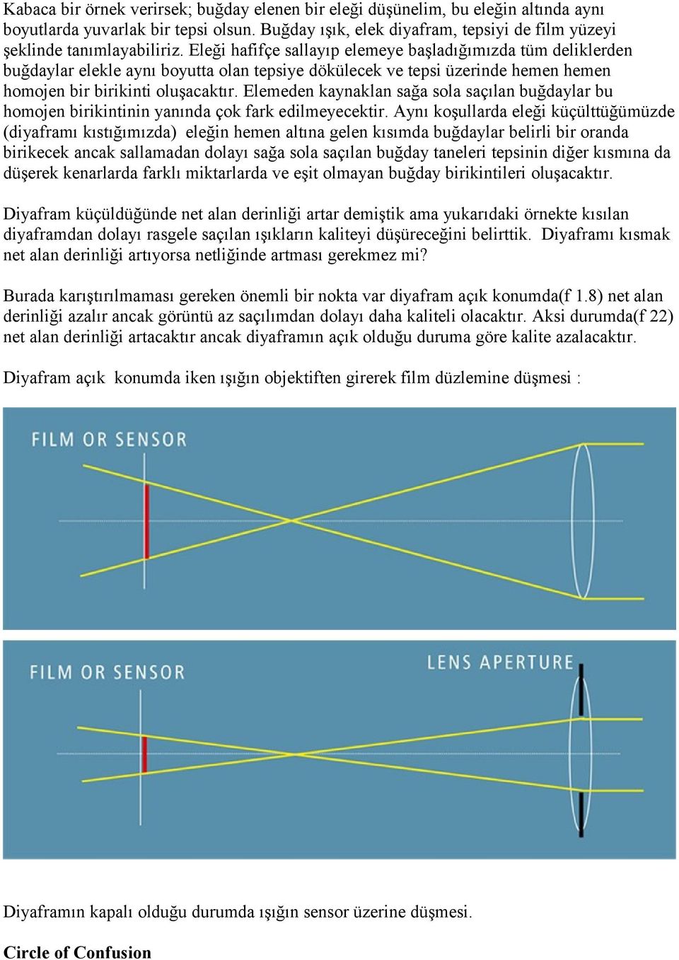 Elemeden kaynaklan sağa sola saçılan buğdaylar bu homojen birikintinin yanında çok fark edilmeyecektir.