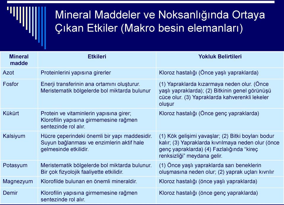 Meristematik bölgelerde bol miktarda bulunur Protein ve vitaminlerin yapısına girer; Klorofilin yapısına girmemesine rağmen sentezinde rol alır. Hücre çeperindeki önemli bir yapı maddesidir.