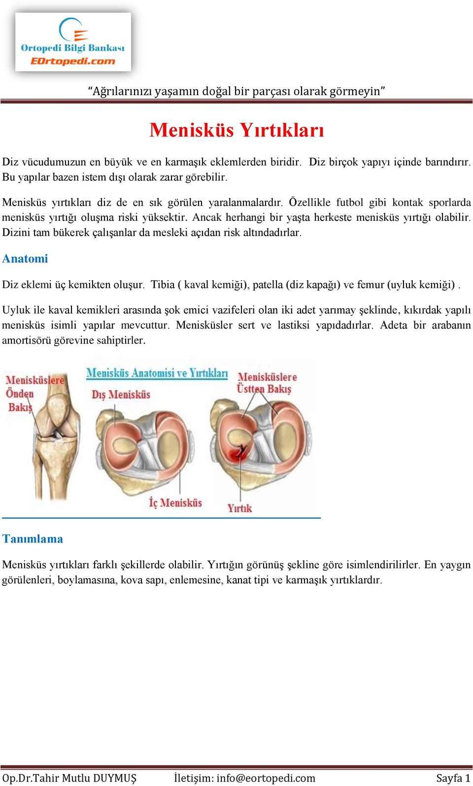 Dizini tam bükerek çalışanlar da mesleki açıdan risk altındadırlar. Anatomi Diz eklemi üç kemikten oluşur. Tibia ( kaval kemiği), patella (diz kapağı) ve femur (uyluk kemiği).