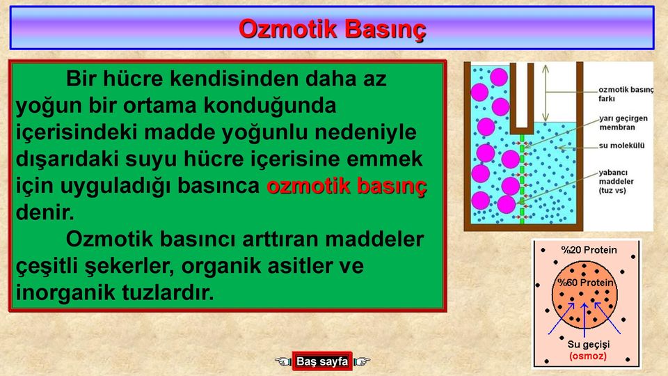 emmek için uyguladığı basınca ozmotik basınç denir.