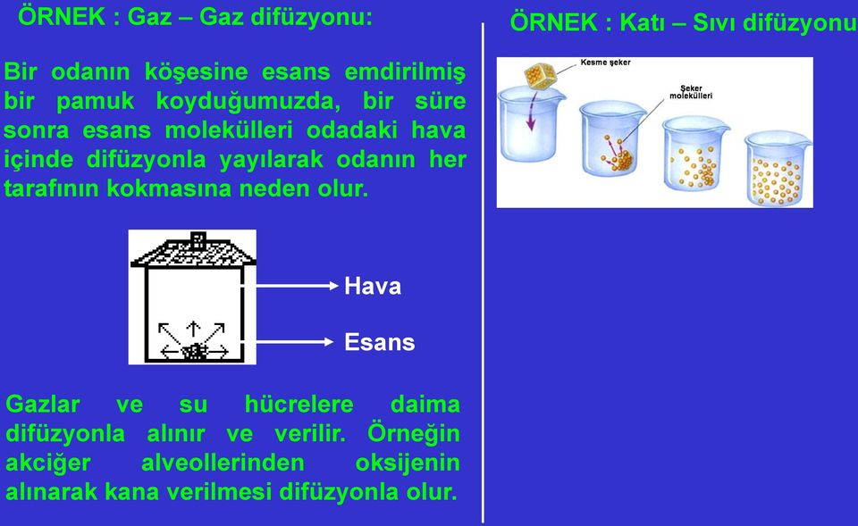 odanın her tarafının kokmasına neden olur.