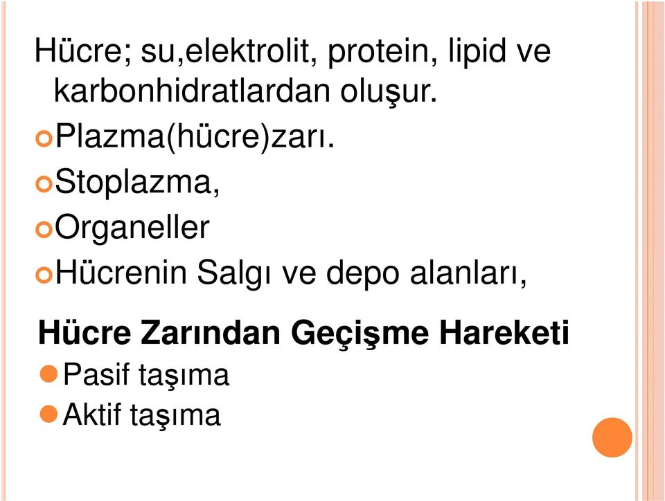 Stoplazma, Organeller Hücrenin Salgı ve depo