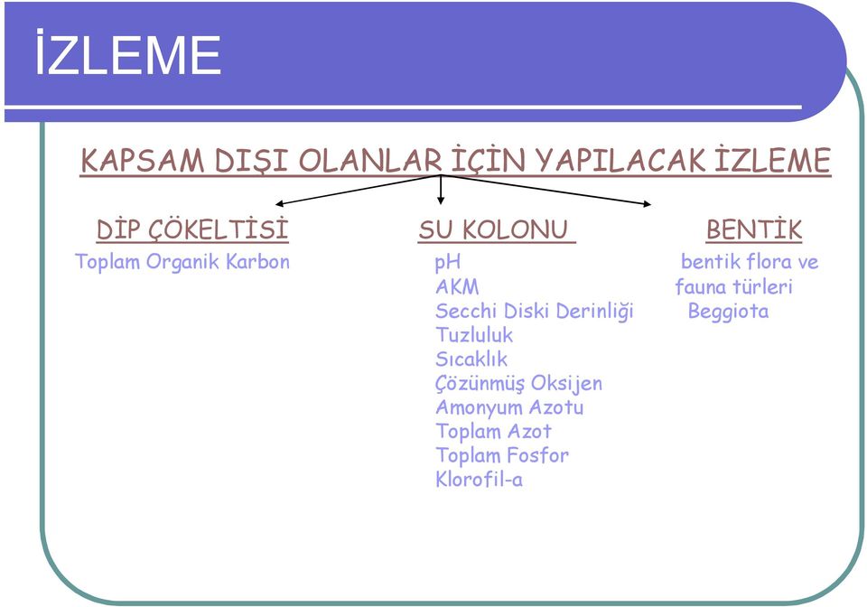 fauna türleri Secchi Diski Derinliği Beggiota Tuzluluk Sıcaklık