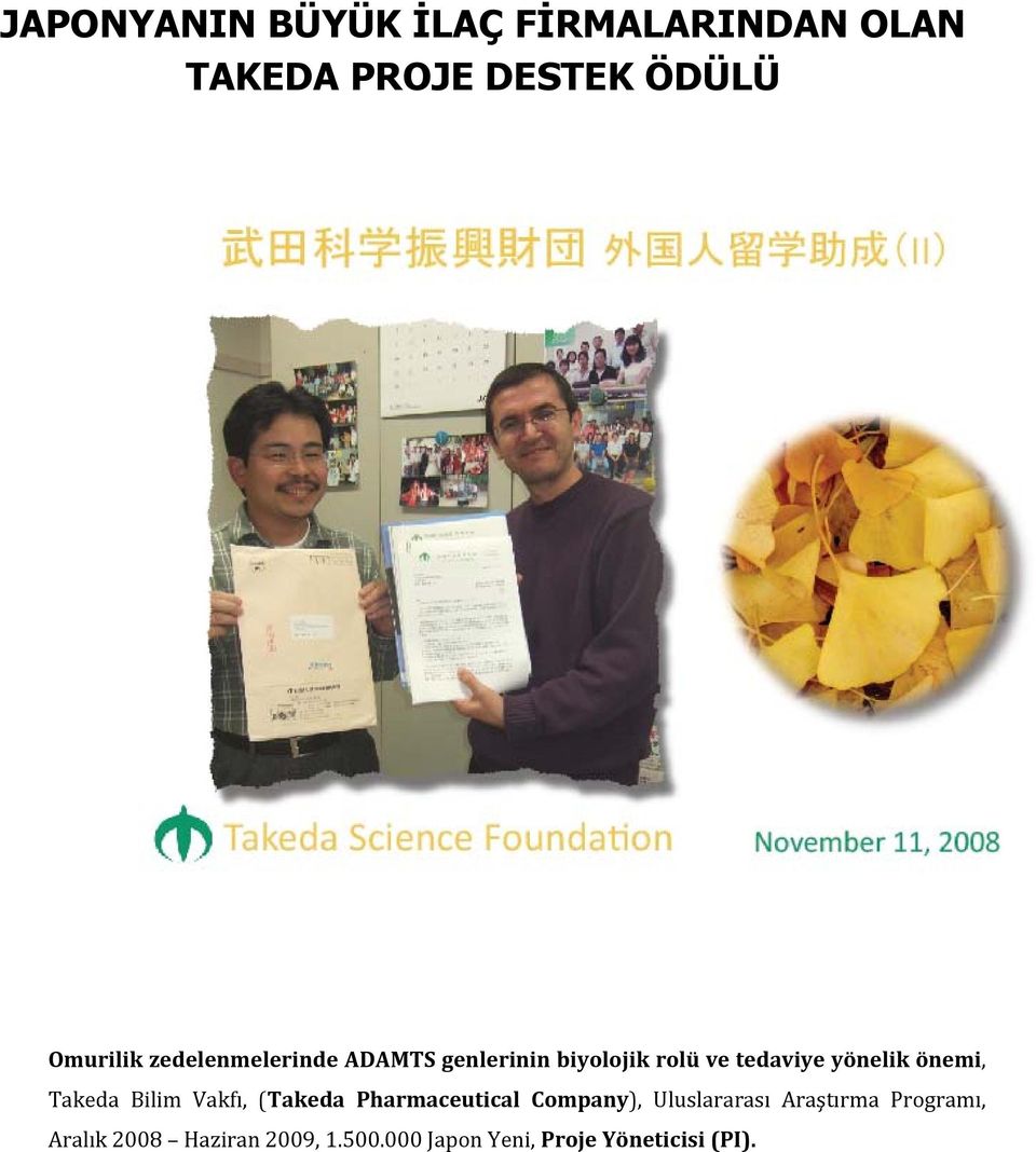 Takeda Bilim Vakfı, (Takeda Pharmaceutical Company), Uluslararası Araştırma