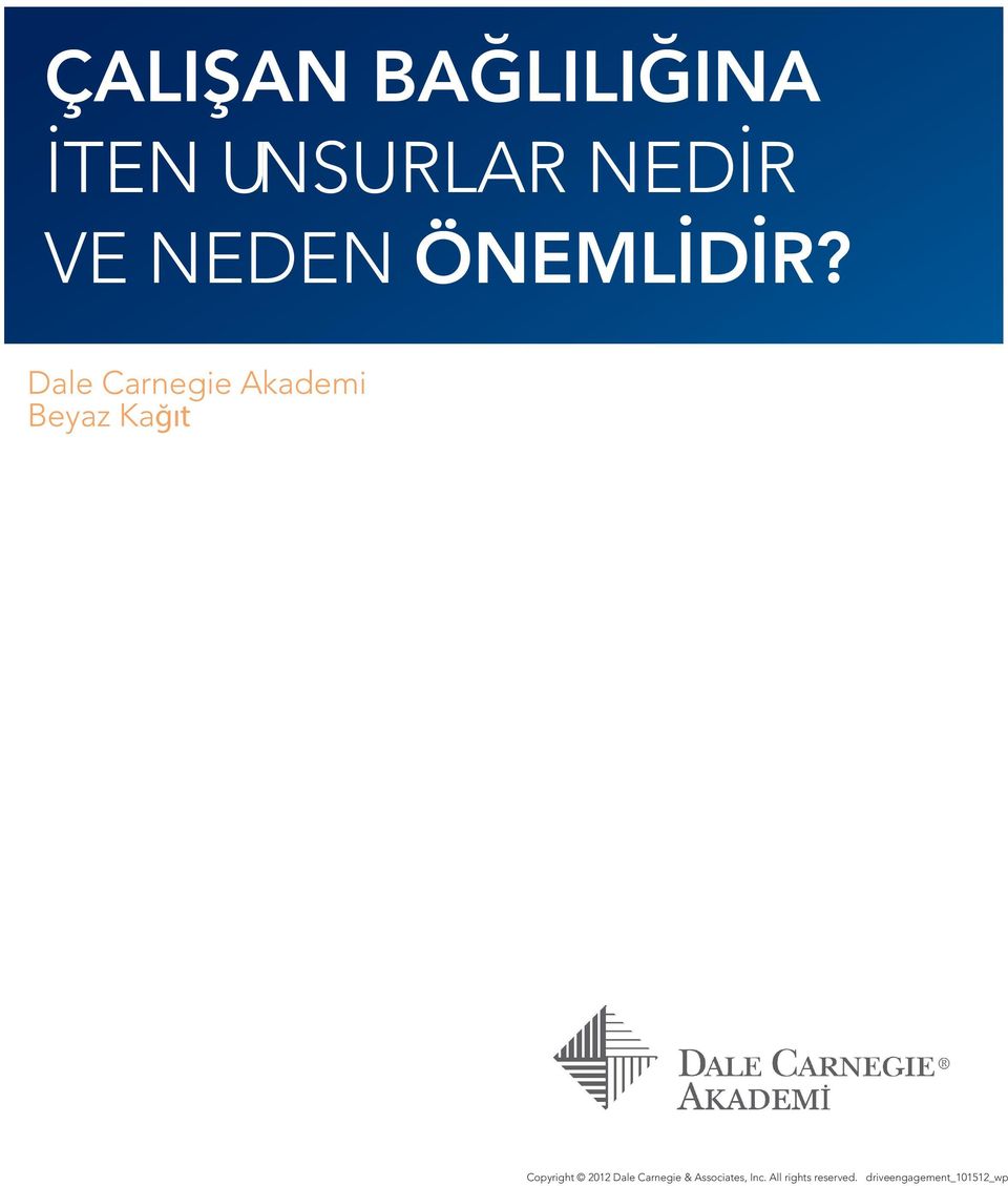 Dale Carnegie Akademi Beyaz Kağıt Copyright