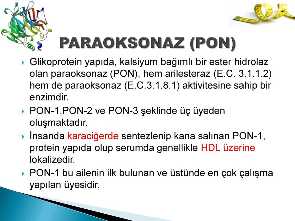 PON-1,PON-2 ve PON-3 şeklinde üç üyeden oluşmaktadır.