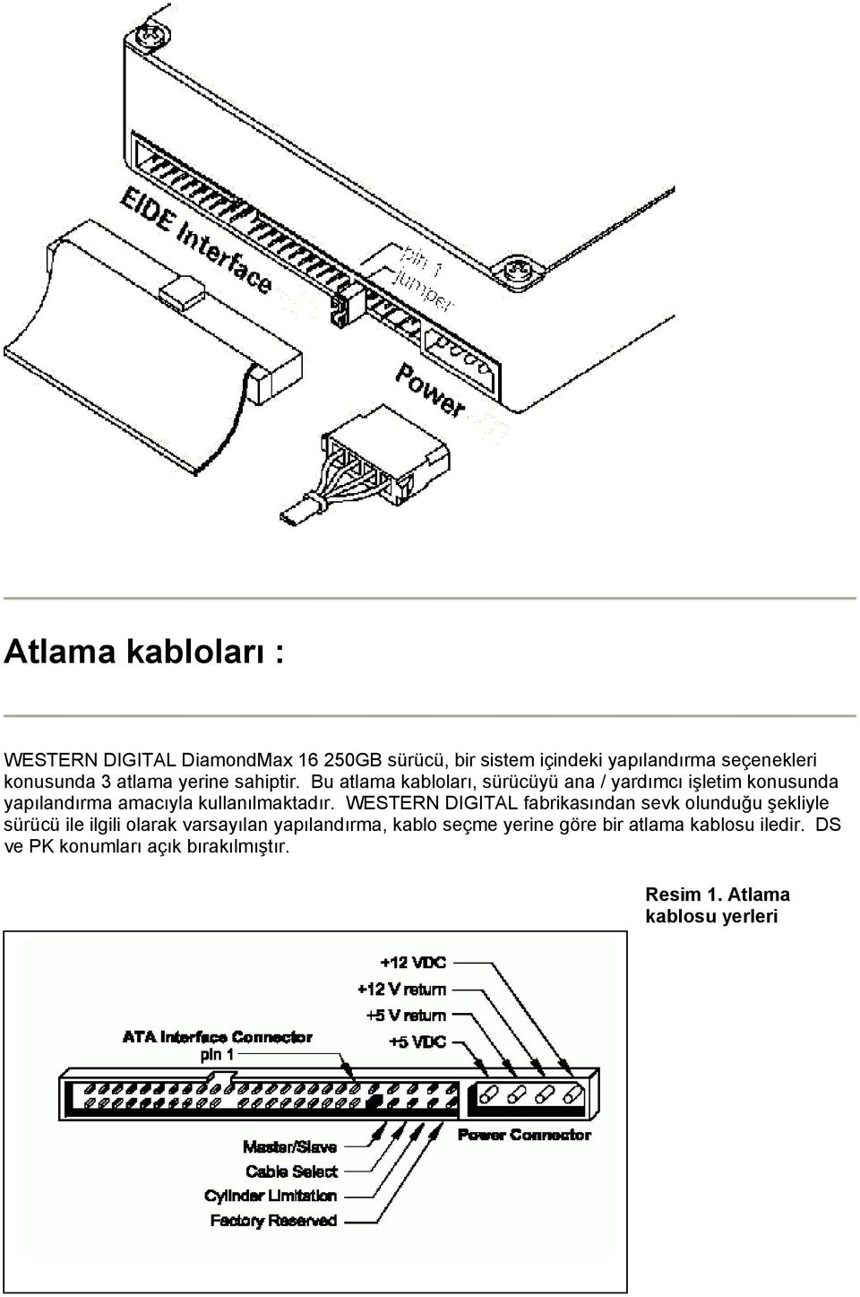 Bu atlama kabloları, sürücüyü ana / yardımcı işletim konusunda yapılandırma amacıyla kullanılmaktadır.